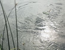 Niebezpieczne zdarzenie na terenie dawnej żwirowni